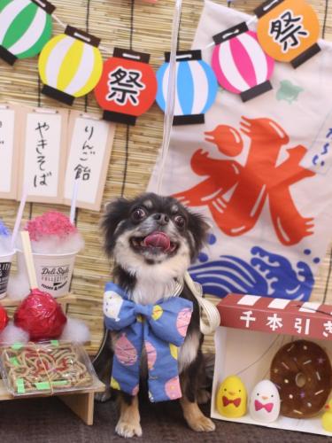 20240703らんまるちゃん